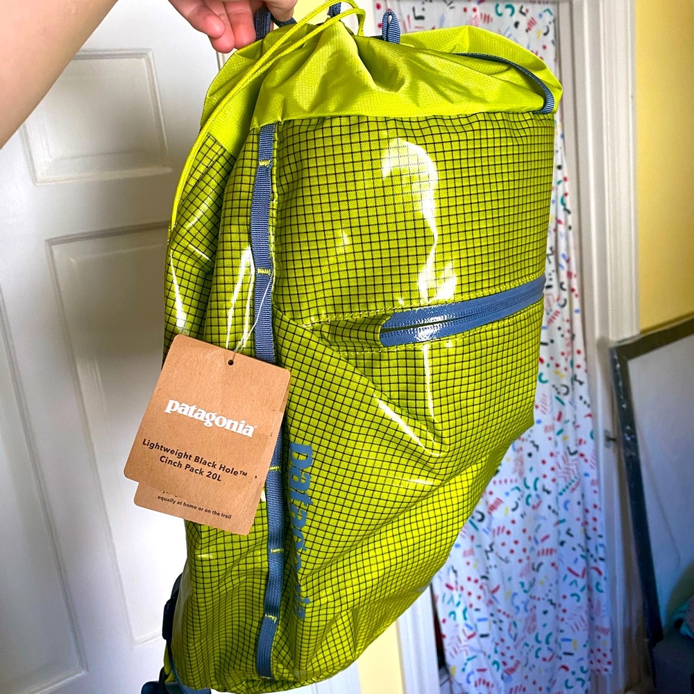 Patagonia Black Hole 20L Cinch Backpack in Gecko Green